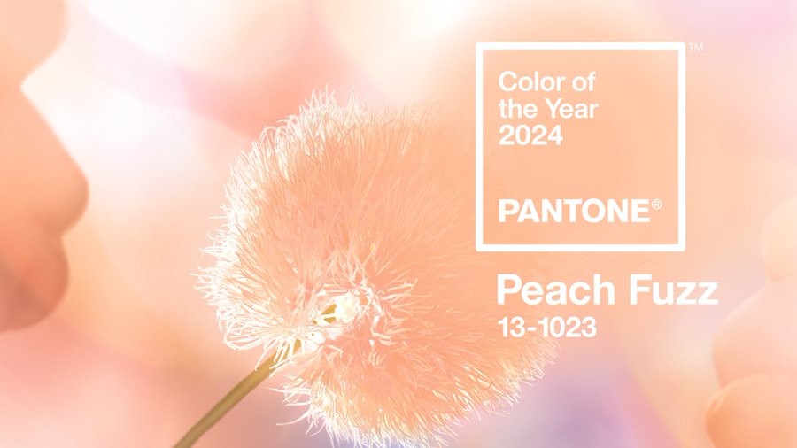 Pantone 2024 color of the year Peach Fuzz